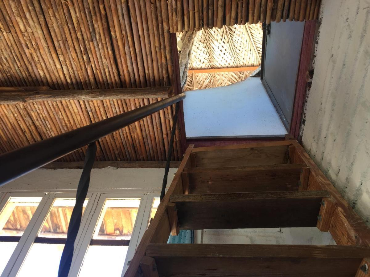 Casa Barca Vandrarhem Taganga Exteriör bild